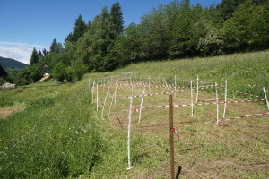 bike park panorama